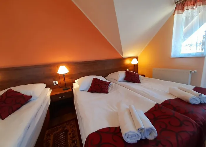 Zielone Wzgórze W Bolesławowie Stronie Śląskie