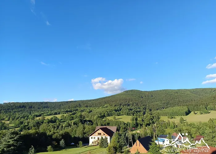 Zielone Wzgórze W Bolesławowie Pensión Stronie Śląskie